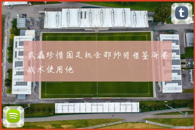 武磊珍惜国足机会邵帅将借鉴海港战术使用他